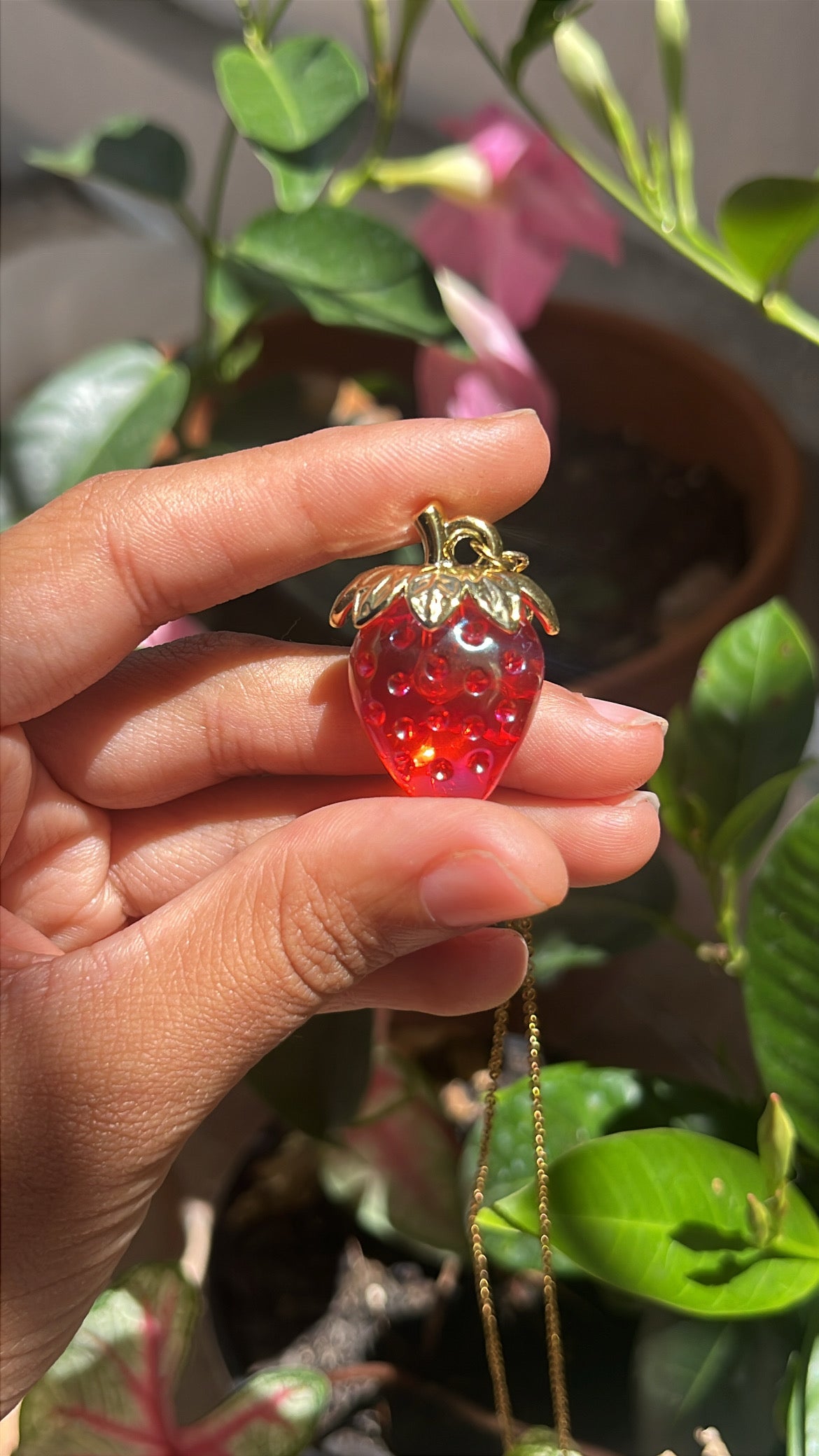Collar fresa